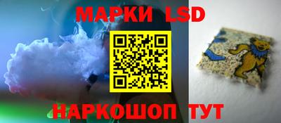шишки Обь