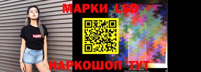 шишки Обь