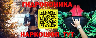 шишки Обь