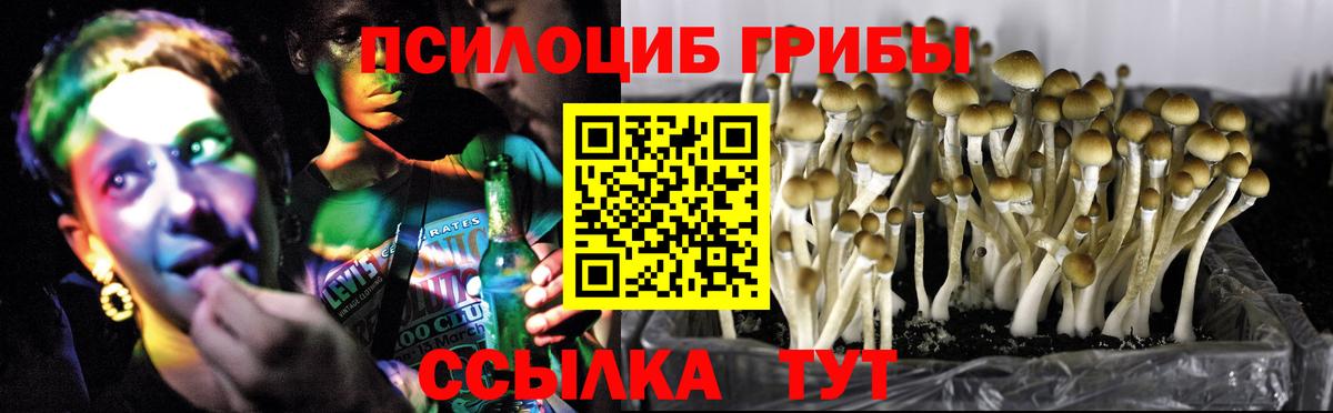 Псилоцибиновые грибы мухоморы  хочу   Пыть-Ях  Галлюциногенные грибы MAGIC MUSHROOMS  Вход с VPN 